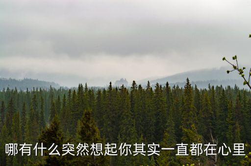 其實(shí)你一直都在,你不在的時(shí)候我真的很開(kāi)心