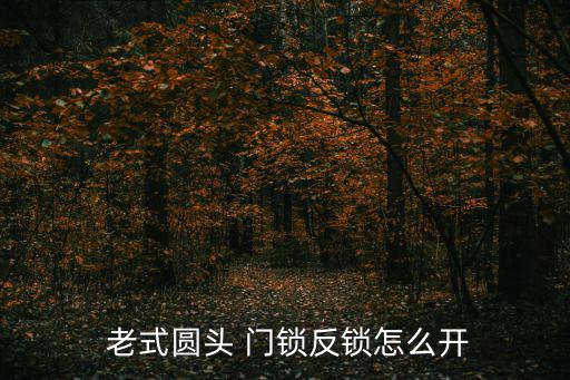 老式門鎖,老式門鎖開門更利索小偷也能撬鎖