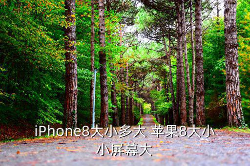 iPhone8大小多大 蘋果8大小小屏幕大
