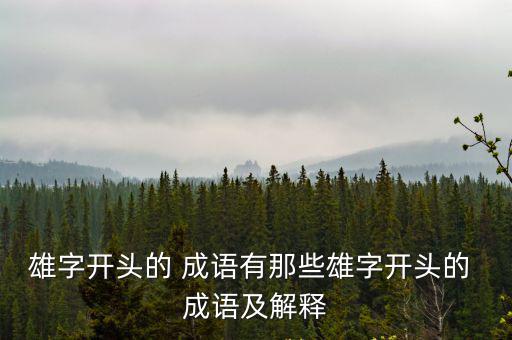 雄字開頭的 成語有那些雄字開頭的 成語及解釋
