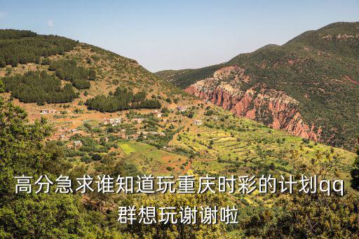 重慶市 時彩龍虎和計劃，重慶時彩有什么計劃方案嗎