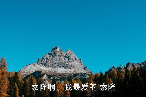 索隆啊、我最愛的 索隆