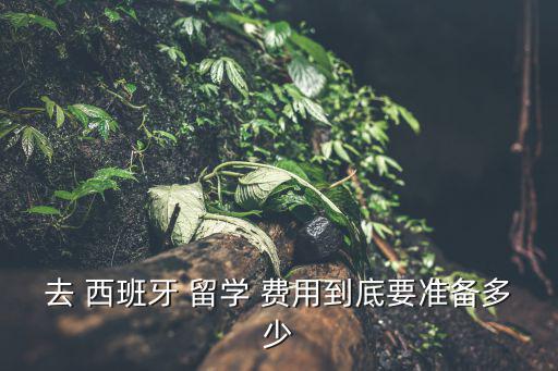 留學西班牙費用,西班牙留學費用怎么算?