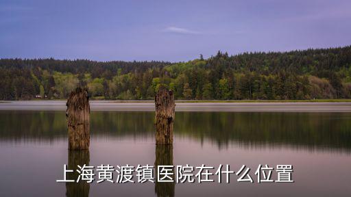 上海黃渡鎮醫院在什么位置