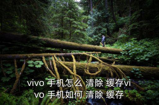 vivo 手機怎么 清除 緩存vivo 手機如何 清除 緩存