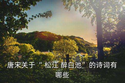 松江醉白池,第二集:白居易的心情筆記