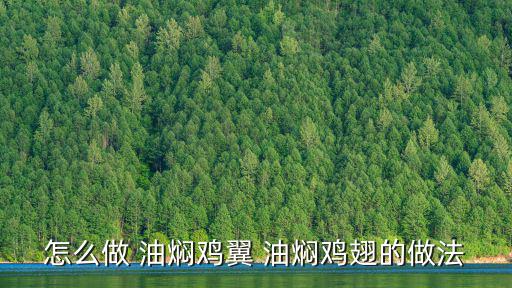 怎么做 油燜雞翼 油燜雞翅的做法