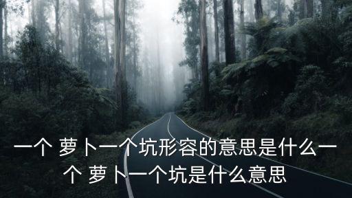 一個 蘿卜一個坑形容的意思是什么一個 蘿卜一個坑是什么意思