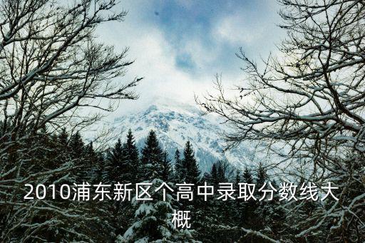 2010浦東新區個高中錄取分數線大概
