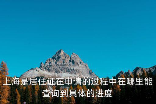 上海是居住證在申請的過程中在哪里能查詢到具體的進度