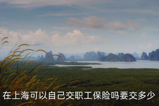 上海自己開公司交社保，在上海可以自己交職工保險嗎要交多少