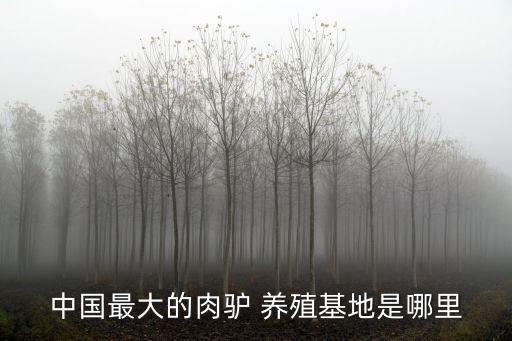 肉驢養(yǎng)殖技術(shù),中國最大肉毛驢養(yǎng)殖基地祝你養(yǎng)驢成功發(fā)財(cái)