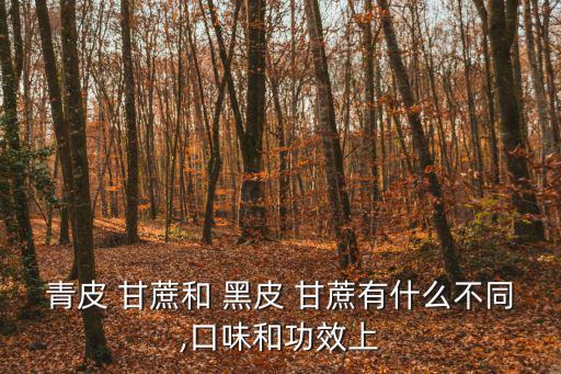 黑皮甘蔗,這三種甘蔗值得你種植