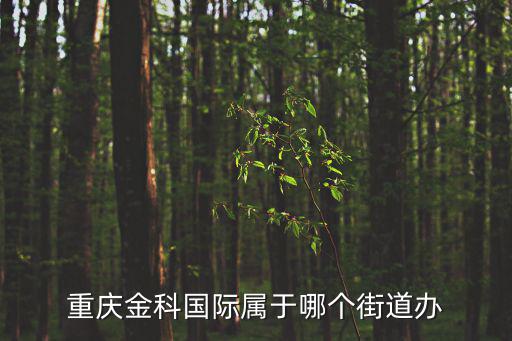 重慶金科國際屬于哪個街道辦
