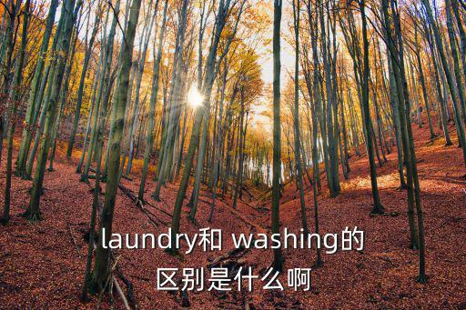 laundry和 washing的區別是什么啊