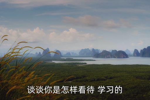 談談你是怎樣看待 學習的
