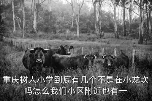 重慶樹(shù)人小學(xué)到底有幾個(gè)不是在小龍坎嗎怎么我們小區(qū)附近也有一