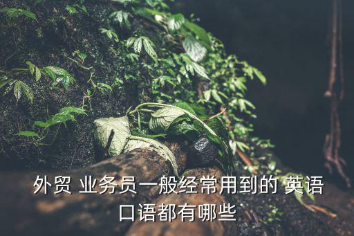 外貿業務員英語,新傳媒15頻道節目播出第二場選區競選廣播