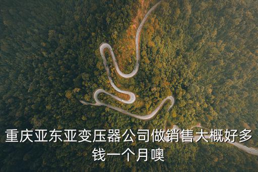 重慶亞東亞變壓器公司做銷售大概好多錢一個月噢