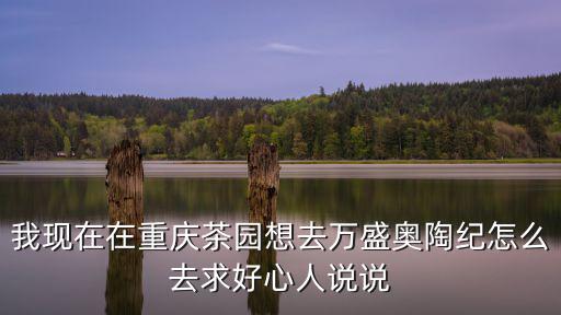 重慶市到萬盛奧陶紀怎么走，我現在在重慶茶園想去萬盛奧陶紀怎么去求好心人說說