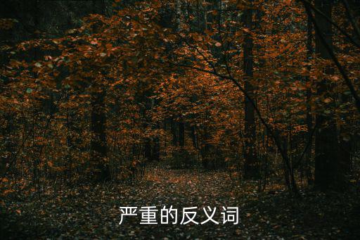 嚴(yán)重的反義詞