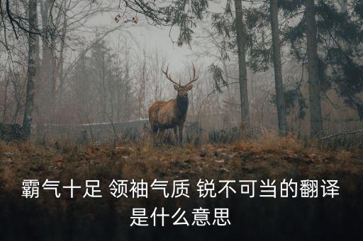 霸氣十足 領袖氣質 銳不可當的翻譯是什么意思