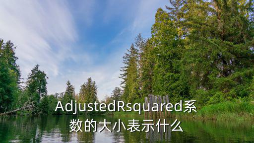 AdjustedRsquared系數的大小表示什么