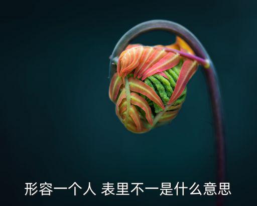 表里不一,漢語(yǔ)成語(yǔ)表里不一的由來(lái)