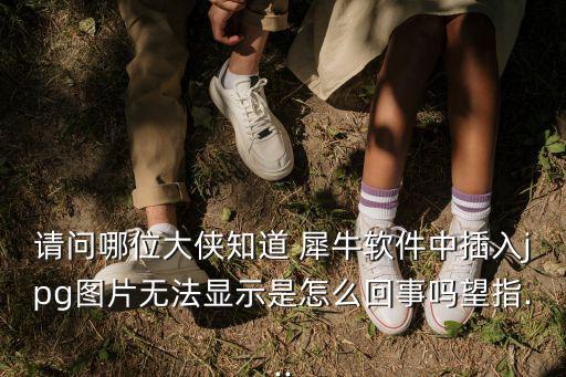 犀牛圖片,風暴崖冰原犀牛無法顯示原因何在?