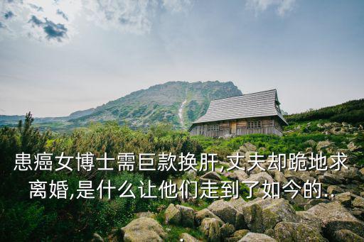 換肝,丈夫拿不出錢做肝置換只能提供部分肝臟