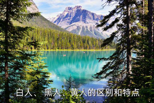 黑人與白人,醫學認證黑人不聰明美國錄取分數比白人低