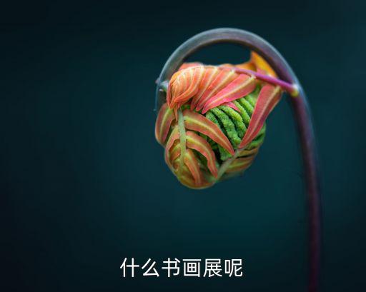 書畫展，書畫展取什么名字好