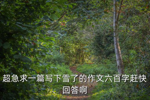 下雪了作文，超急求一篇寫下雪了的作文六百字趕快回答啊