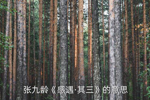 張九齡的詩,張九齡《西江之夜》第二首詩完美表達思鄉意境