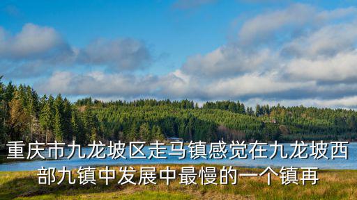 重慶市九龍坡區走馬鎮感覺在九龍坡西部九鎮中發展中最慢的一個鎮再