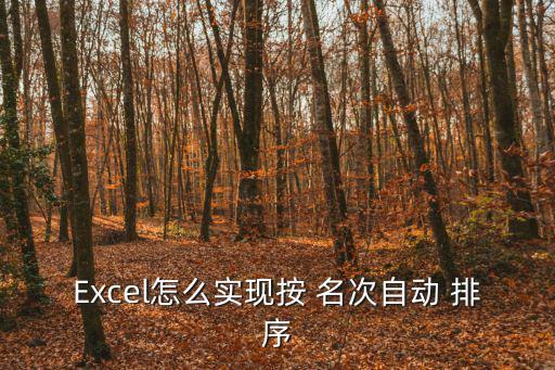 Excel怎么實現(xiàn)按 名次自動 排序