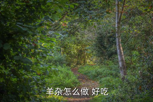 羊雜怎么做好吃,羊雜怎么做好吃的地方