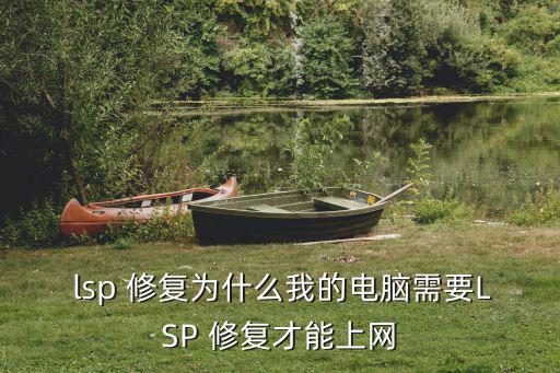  lsp 修復為什么我的電腦需要LSP 修復才能上網(wǎng)