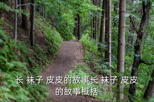 長 襪子 皮皮的故事長 襪子 皮皮的故事概括