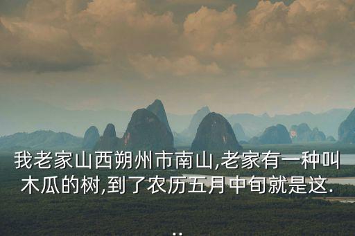 我老家山西朔州市南山,老家有一種叫木瓜的樹,到了農歷五月中旬就是這...