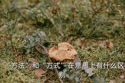 “方法”和“方式”在意思上有什么區別