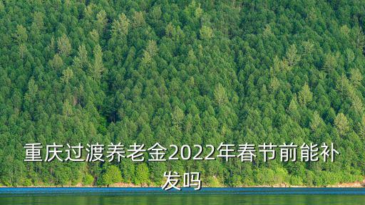 重慶市今年春節養老金能不能提前發，重慶過渡養老金2022年春節前能補發嗎