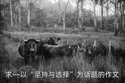 求~~以“堅持與選擇”為話題的作文