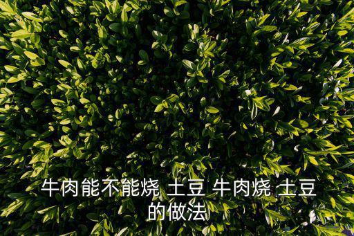 牛肉燒土豆,牛腩土豆怎么吃?