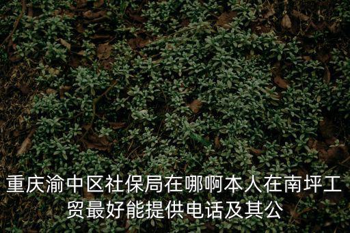 重慶渝中區(qū)社保局在哪啊本人在南坪工貿(mào)最好能提供電話及其公