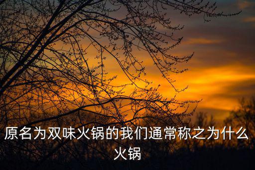 原名為雙味火鍋的我們通常稱之為什么火鍋