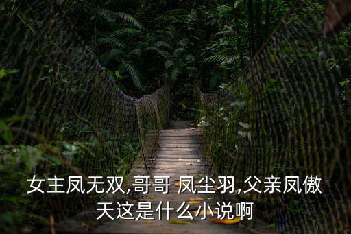 鳳塵,第二集:鳳凰家族的小二:火龍獸:你看星塵怎么樣了?