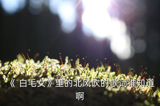 芭蕾舞白毛女,白毛女主演劉紫玲飾演xi兒