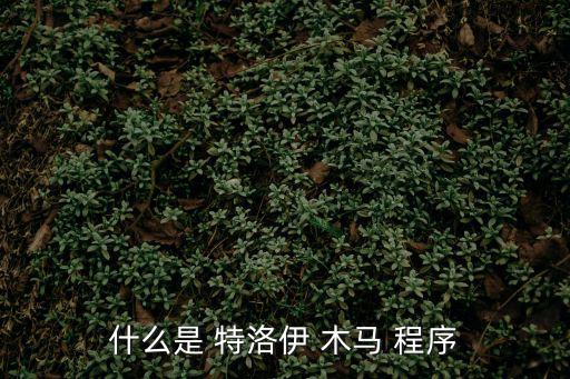 特洛伊木馬程序,特洛伊木馬病毒名稱來自希臘神話木馬屠殺之城