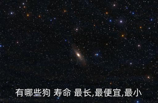什么狗壽命最長,狗狗平均壽命遠低于人類但不是固定模式